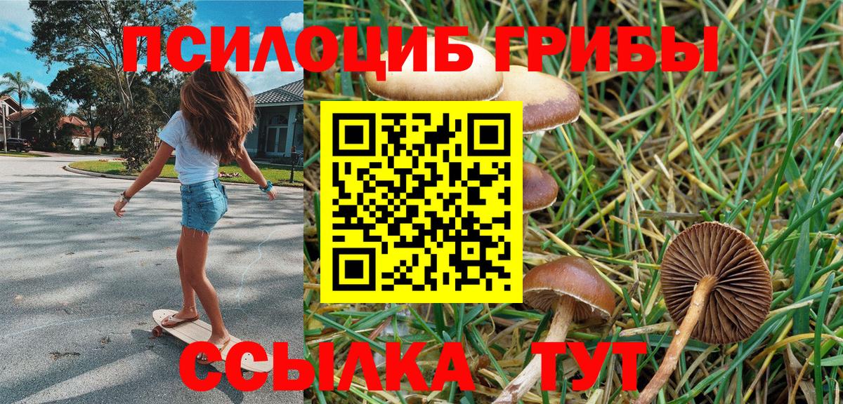 Галлюциногенные грибы MAGIC MUSHROOMS  Вход с VPN  что такое наркотик  Углич  Псилоцибиновые грибы GOLDEN TEACHER 