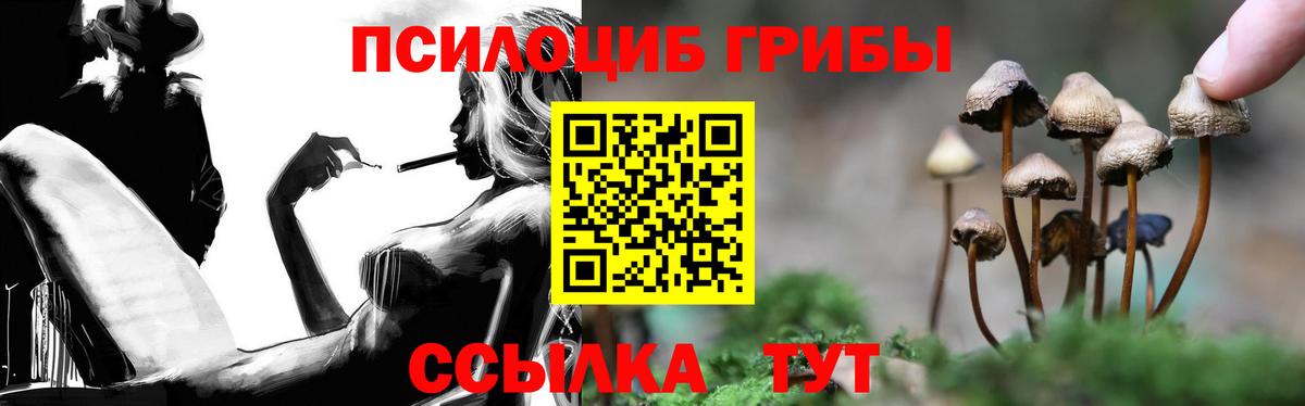 Псилоцибиновые грибы Magic Shrooms Углич